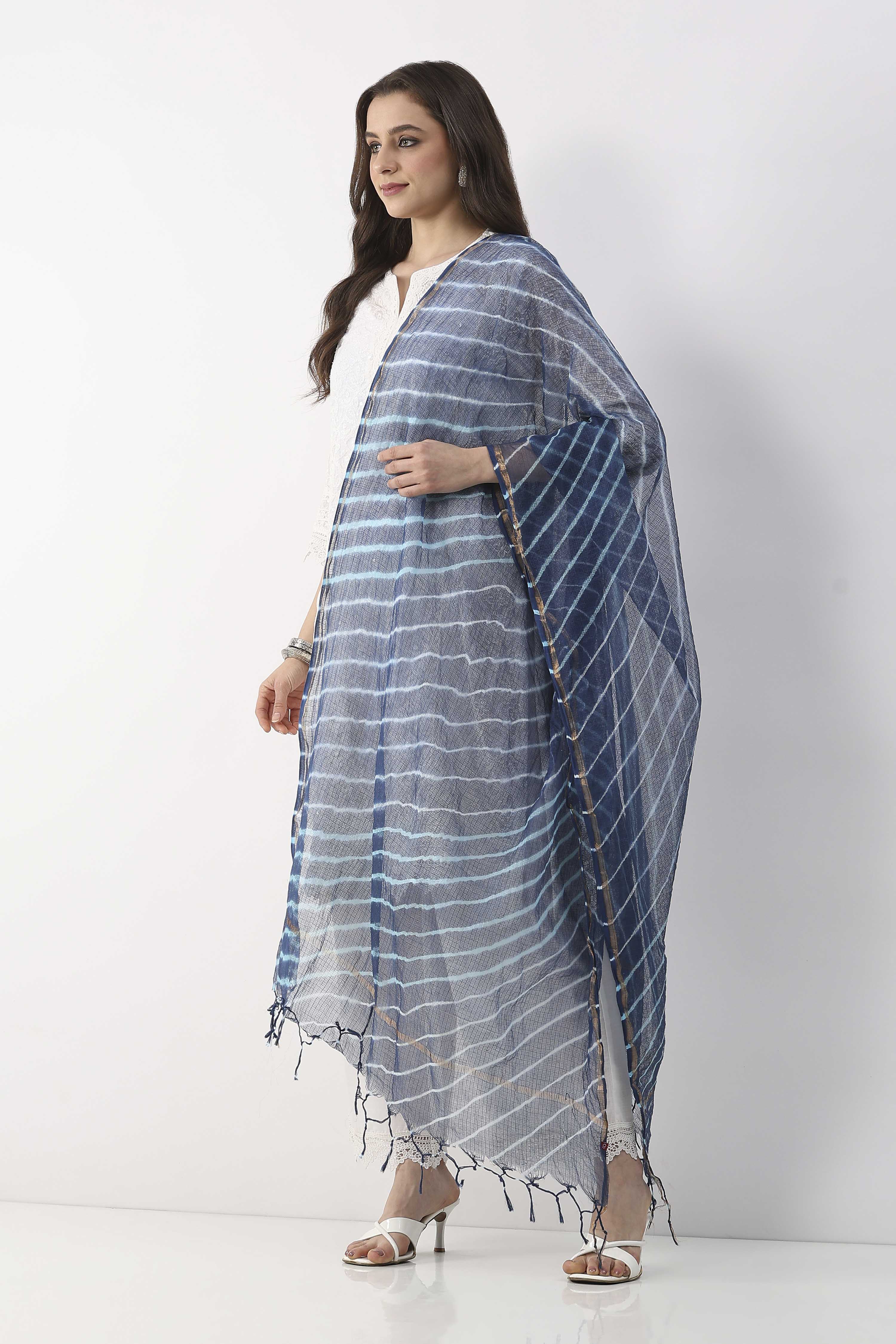 Blue & White All-Over Striped Dupatta image number 1